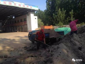 馆陶在行动 大气污染治理的深度实践